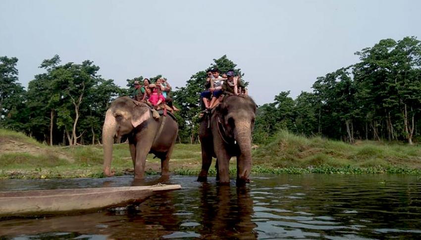 Elephant Safari at Chitwan